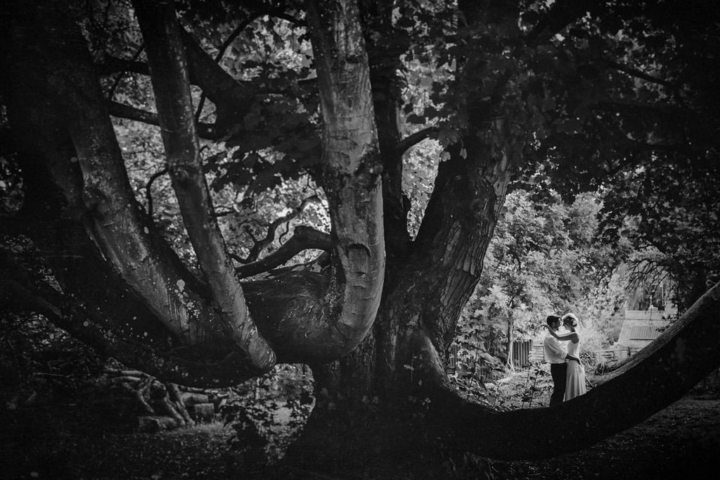 somerset wedding photographer